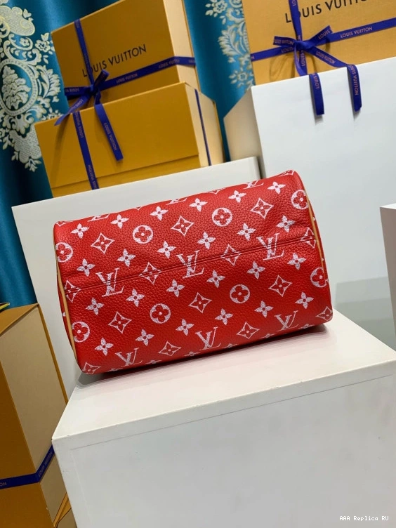 Aaa replica bags Bandoulière P9  VUITTON 25 LOUIS Speedy 0813